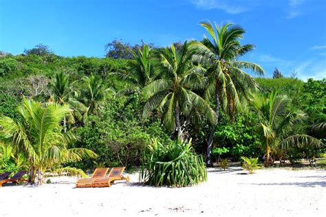 Deck Chairs Under Palm Tree On Beautiful Tropical Beach On Fiji Stock