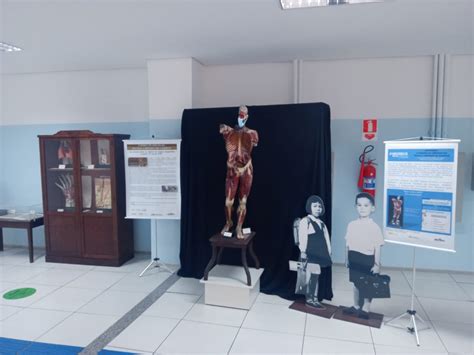 Efape Histórico De Participações