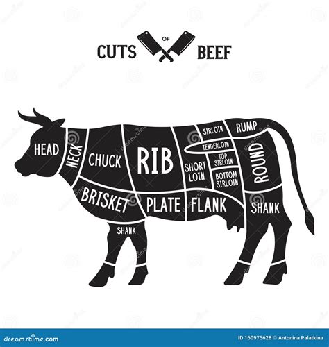 Cuts Of Beef Poster Butcher Diagram Cow Silhouette Isolated Meat Cuts Beef Cutting Scheme