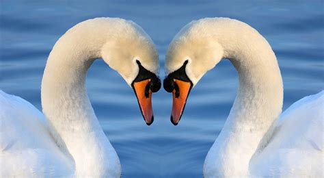 Lessons In Love From Nature The Nature Conservancy In Nj