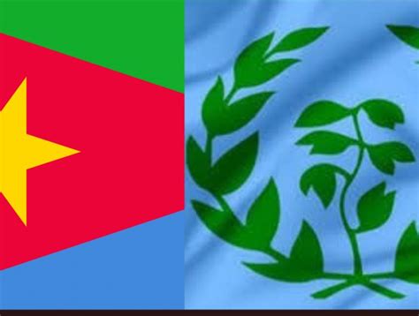 Eritrea Digest No Struggle No Win