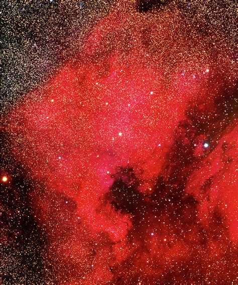 North America Nebula Photograph By Tony And Daphne Hallasscience Photo