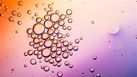 Download Wallpaper 2560x1440 Bubbles Water Liquid Gradient