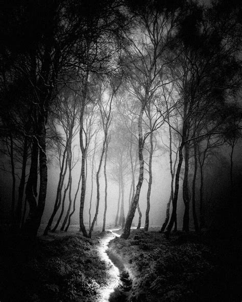 Artistic Landscape Photography Dark Landscape Black And White