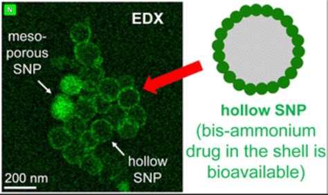 Researchers develop new 'raspberry-shaped' nanoparticle for precision