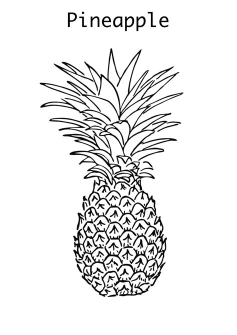 Pineapple Coloring Page Pinterest 310 Pineapple Coloring Pages Ideas