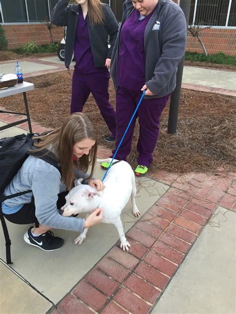 By successfully completing this course, you will Nursing Students at SRTC Benefit from On-Site Animal ...