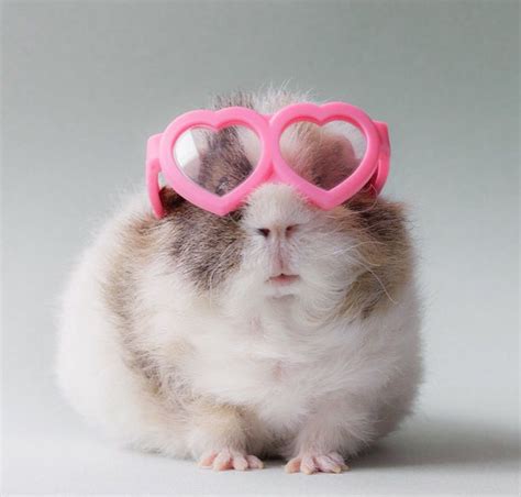 Cant See All The Haters With My Love Glasses On Need Advice On How