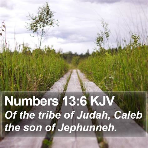 Numbers 136 Kjv Of The Tribe Of Judah Caleb The Son Of