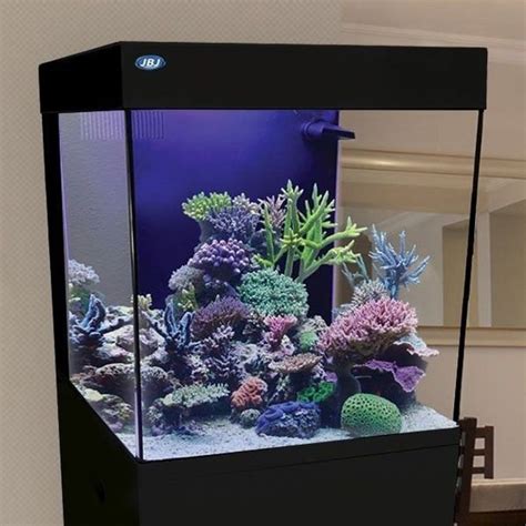 55 Wondrous Aquarium Design Ideas For Your Extraordinary Home