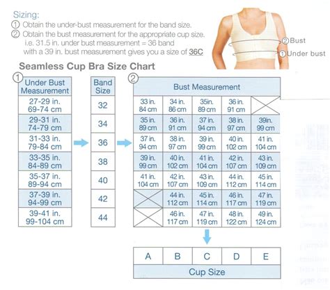 Movie How To Check Bra Size And Cup Size Internetbluesky