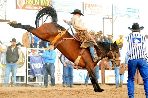 Bucking Horse Sale World Famous Miles City Bucking Horse Sale