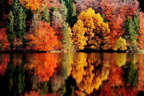 Photography Landscape Nature Fall Reflection Lake Forest