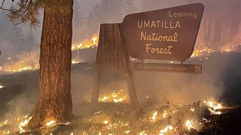 Worst Wildfire Season In Washington History Predicted For This Year