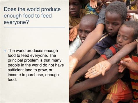 Ppt Main Facts Of World Hunger Powerpoint Presentation Free Download Id 9384942