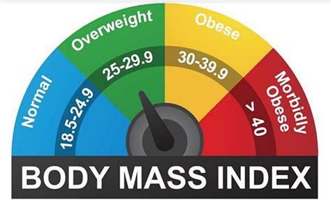 What Is Bmi And How To Manage Weight And Control Obesity