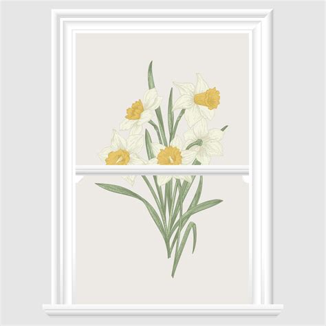 Daffodil Decorative Window Film Uk