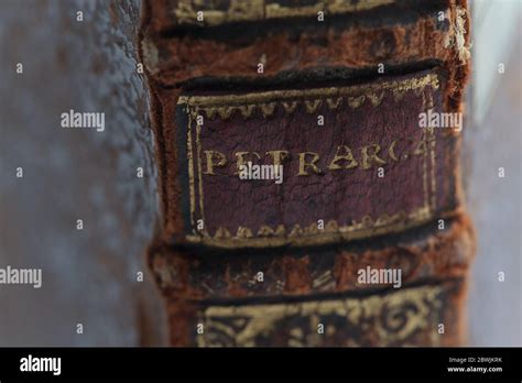 Il Petrarca Old Leather Book Spine Closeup Spine Detail Shallow