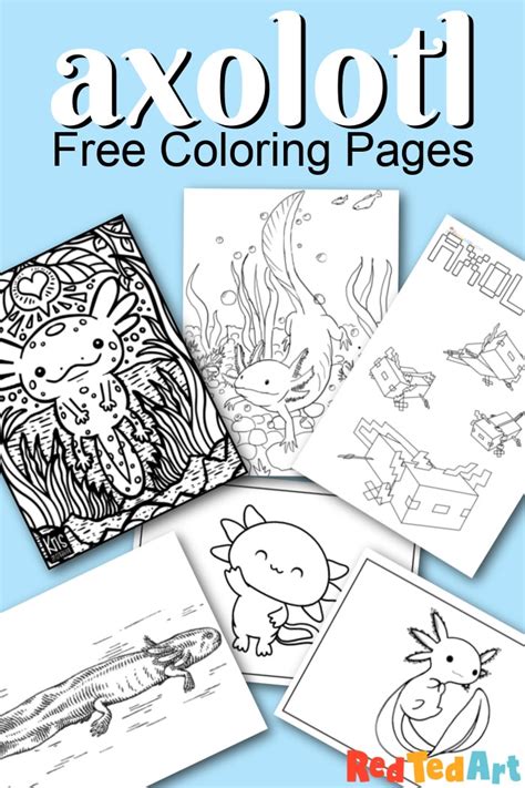 Free Axolotl Coloring Pages Red Ted Art Easy Kids Crafts Images And