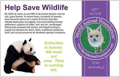 Read on to find one of the strongest arguments for saving endangered animals is simply that we want to. Save The Animals Quotes. QuotesGram