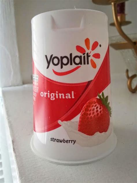 Inventive Craft Ideas Yogurt Containers