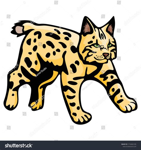Bobcat Animal Vector Illustration Template Icon Stock Vector Royalty