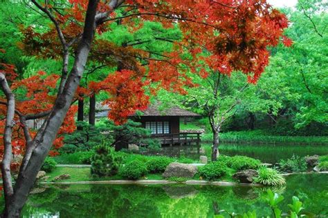 21 Japanese Botanical Garden Fort Worth Ideas To Try This Year