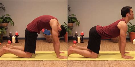 Posture Of The Month Catcow Pose Your Pace Yoga
