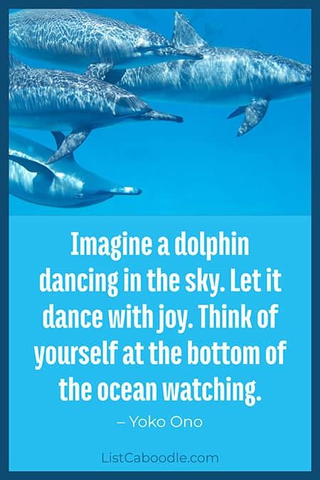 65 Dolphin Quotes Inspirational Sayings Listcaboodle