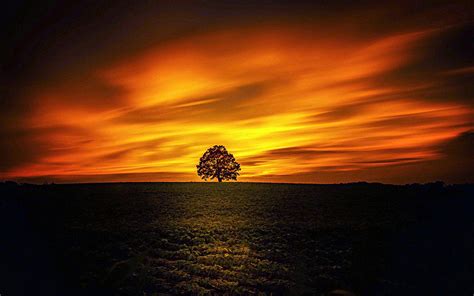 Lone Tree Silhouette Wallpapers Wallpaper Cave
