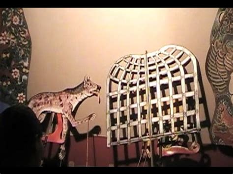 Look through examples of kancil translation in sentences, listen to pronunciation and learn grammar. WAYANG KANCIL 3 (Animal Puppet) - Kancil Dan Anjing ...