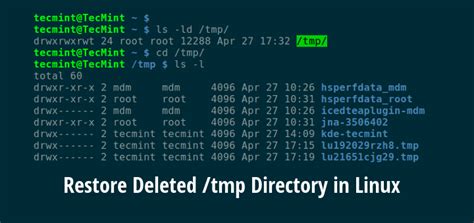 How To Restore Deleted Tmp Directory In Linux