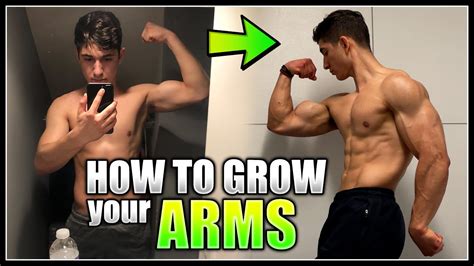 How To Grow Your Arms Best Exercises And Training Tips Youtube