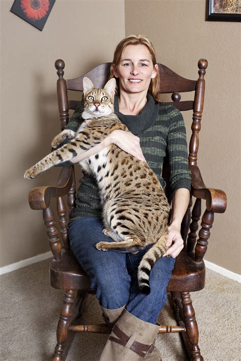 The Tallest House Cat In The World
