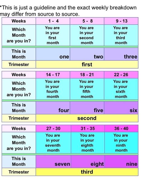 Pregnancy Calendar Week By Week Printable Printable Word Searches