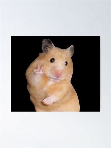 Peace Hamster Meme Poster For Sale By Melodie01 Redbubble