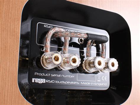 Rega Rs10 Loudspeaker The Sound Organisation