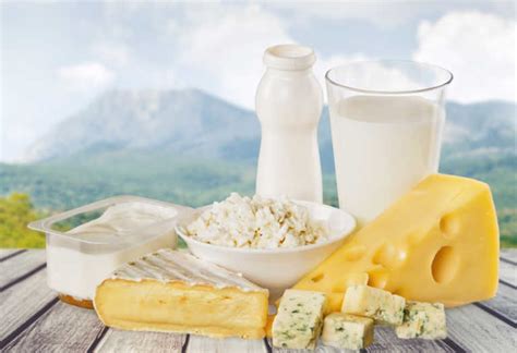 Fettreiche Milchprodukte Senken Diabetesrisiko MedMix