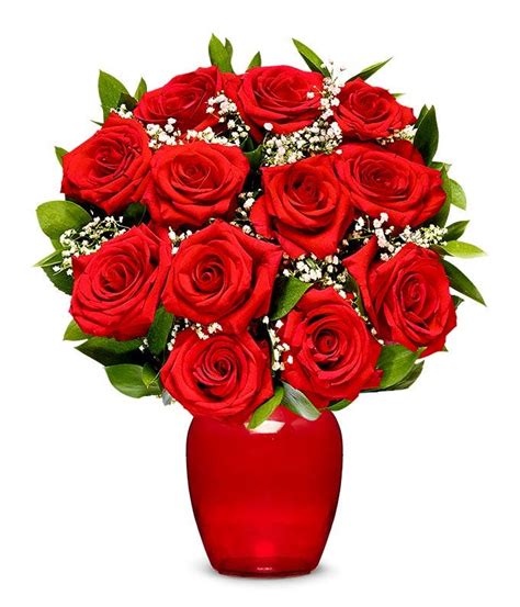 One Dozen Premium Long Stem Red Roses At From You Flowers