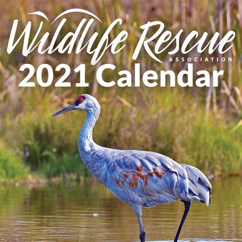 2021 Wildlife Rescue Calendar Now Available Wildlife Rescue