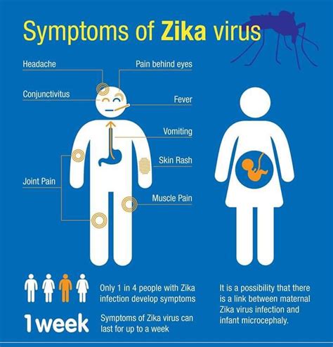 doshti be alert zika virus