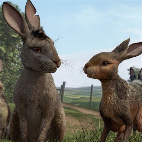 Netflixs Watership Down Is Not Really For Kids—and Thats A Good
