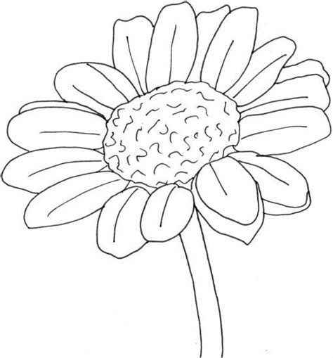 Löwenzahn lesen, löwenzahn erleben, löwenzahn verschenken. Ausmalbild: Blume Gänseblümchen | Blumen ausmalbilder ...