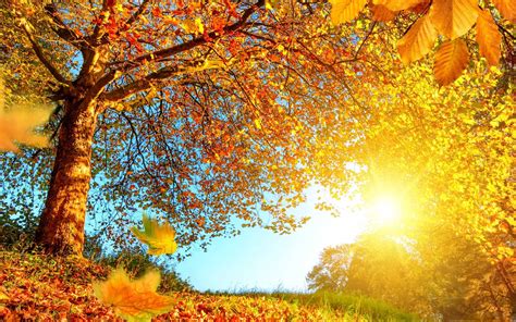 Beautiful Autumn Landscape Mac Wallpaper Download Allmacwallpaper