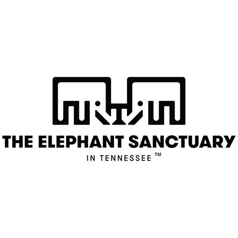The Elephant Sanctuary 27 East Main St Hohenwald Tennessee Animal