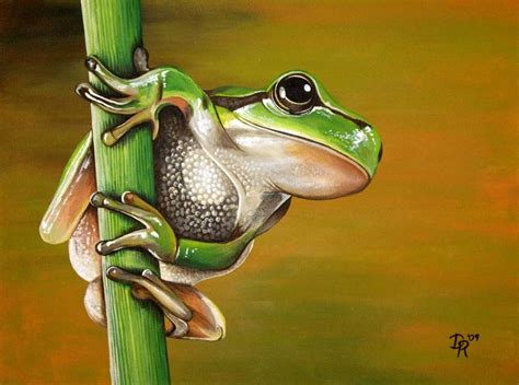 Reptiles Amphibians Acrylic Painting Lessons Art Painting