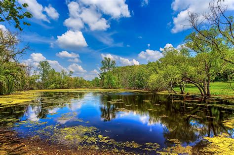 One Poets Notes Photo Of The Week Farm Pond In May