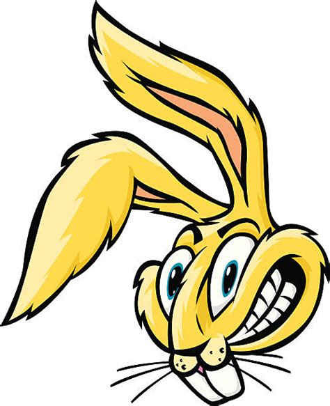 Jack Rabbit Cartoon Images