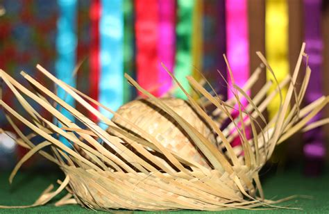 Free Images Flower Thatch Hat Close Up Head Party Macro