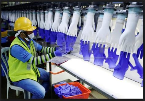 .are specialised in manufacturing high quality of nitrile gloves malaysia, latex gloves malaysia and gloves manufacturer company in malaysia. World's top glovemaker vows clean-up as migrant workers ...